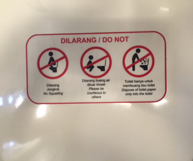 garuda-no-squatting cropped.png