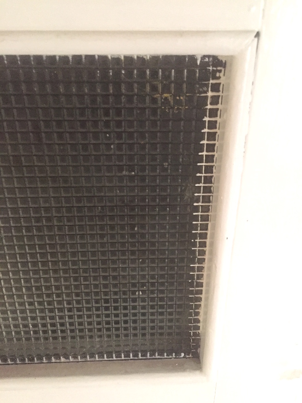 Glass pattern - reed?.JPG