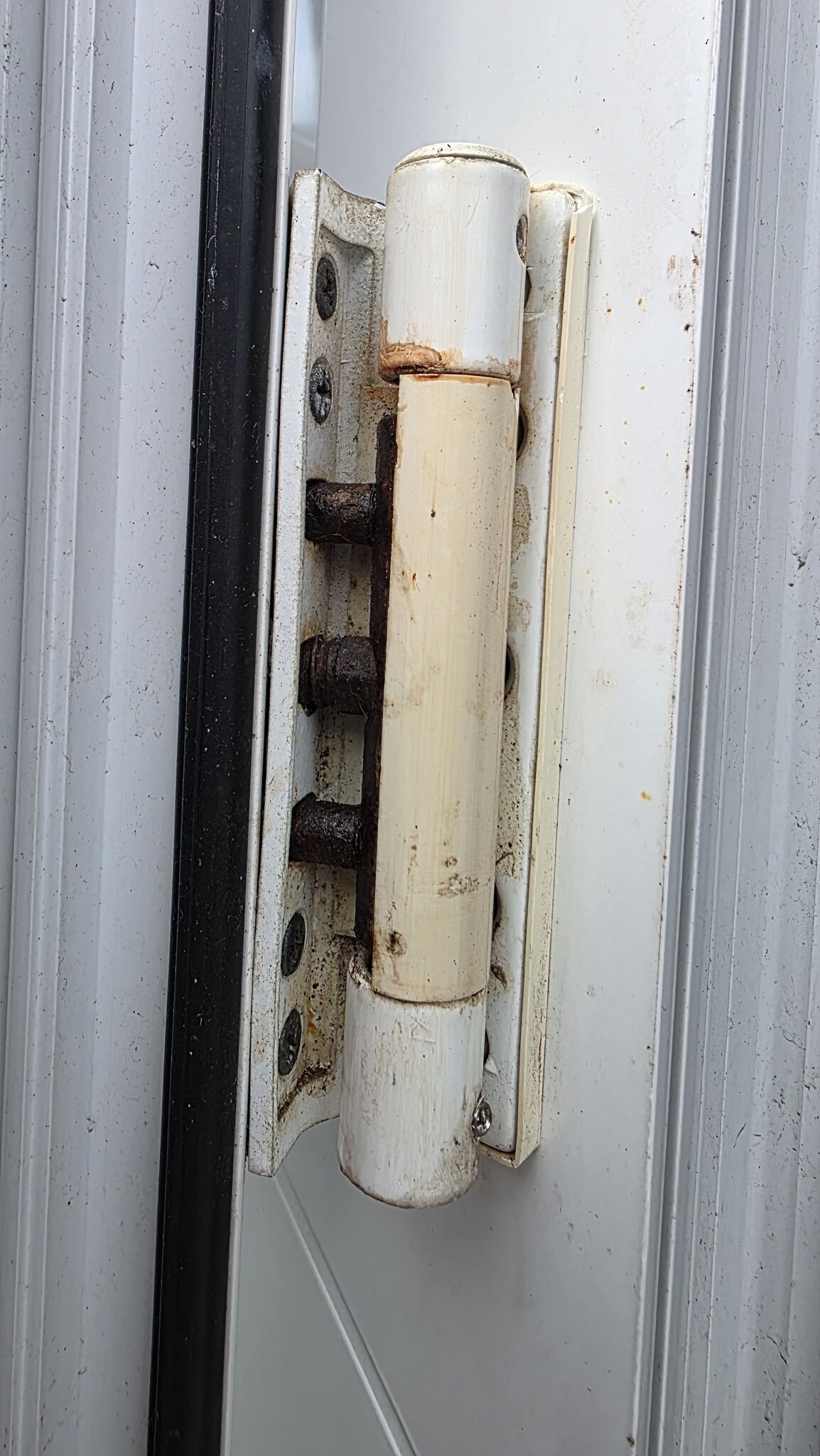 Hinge04.jpg