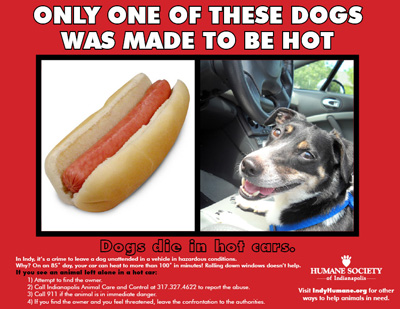 hot_dog_flyer_400.jpg