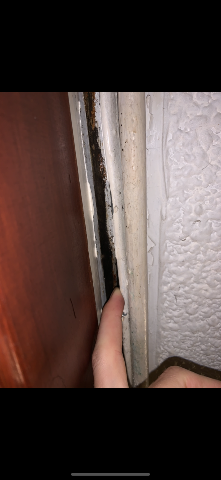 Image from iOS (2).png