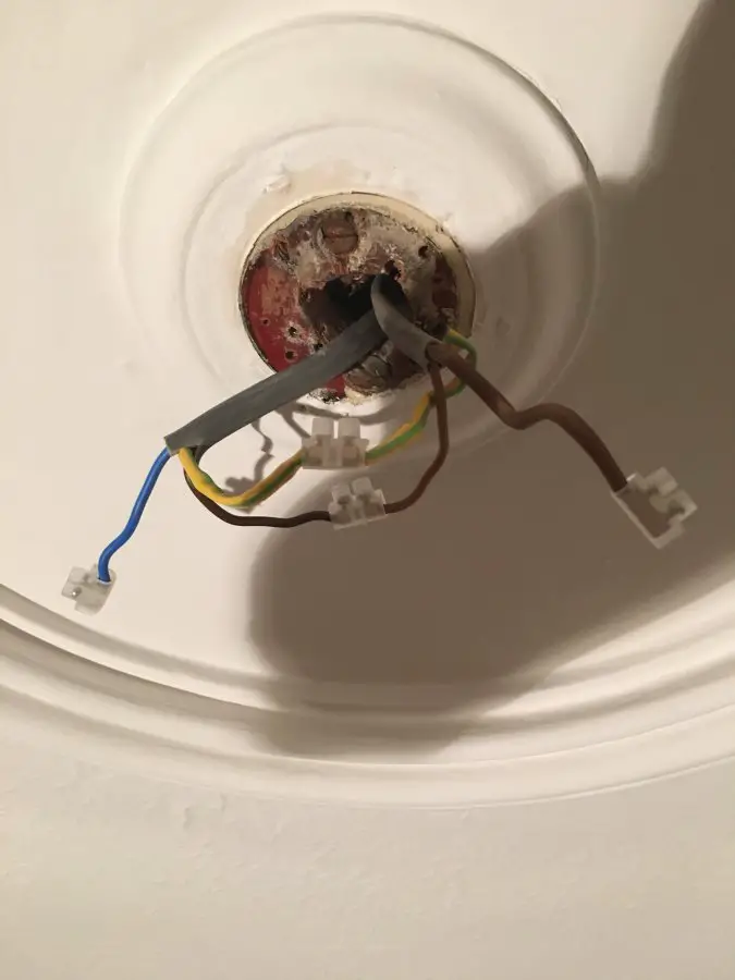 Metal Ceiling Light Rose With No Earth, Wiring A Ceiling Light With 2 Wires No Earth