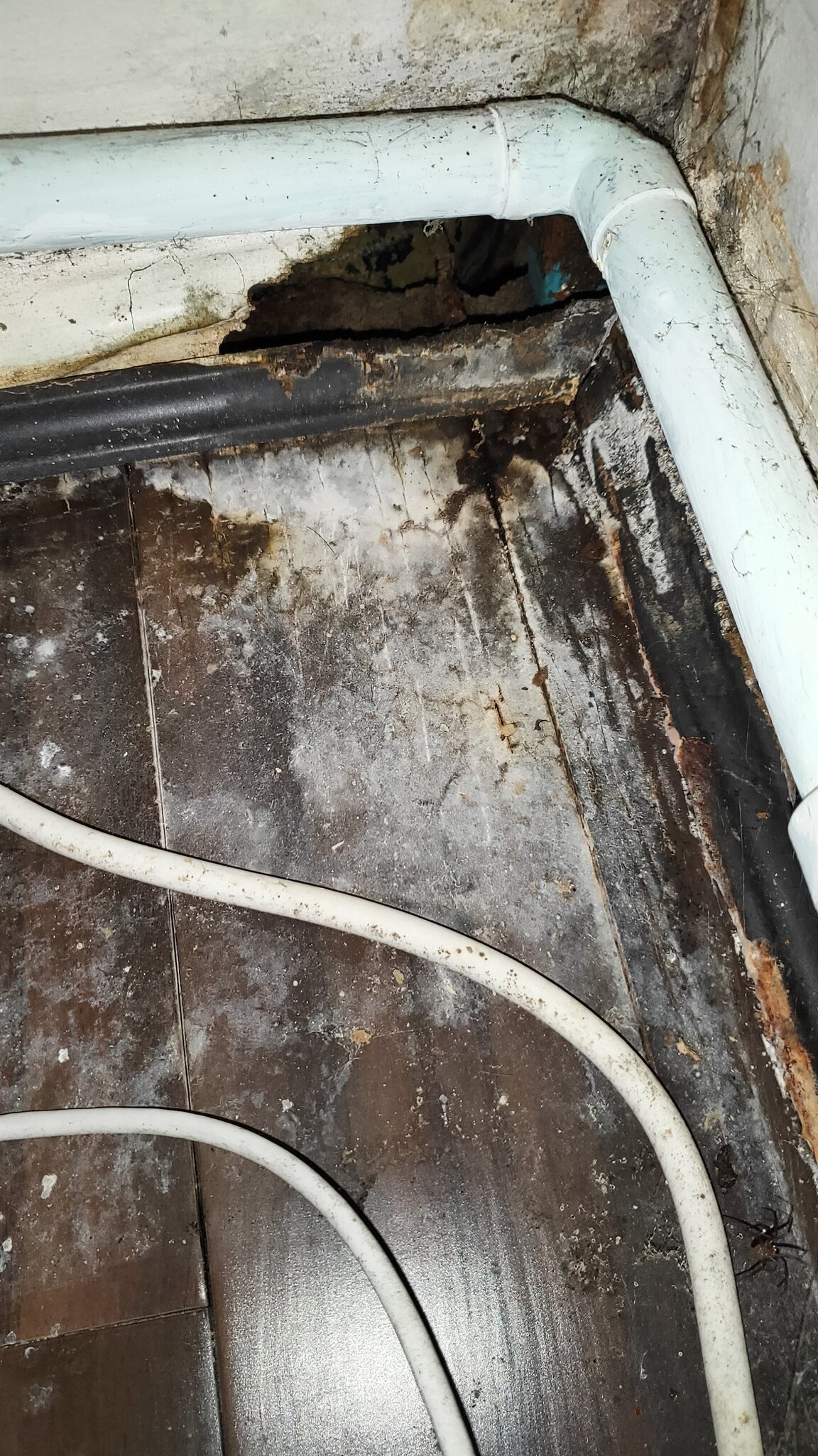 IMG20260411152501 - Copy.jpg