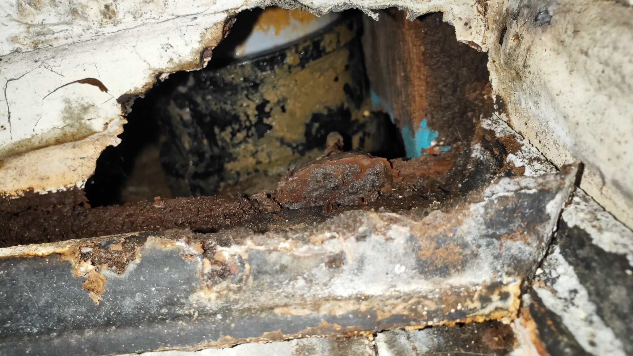 IMG20260411152902 - Copy.jpg