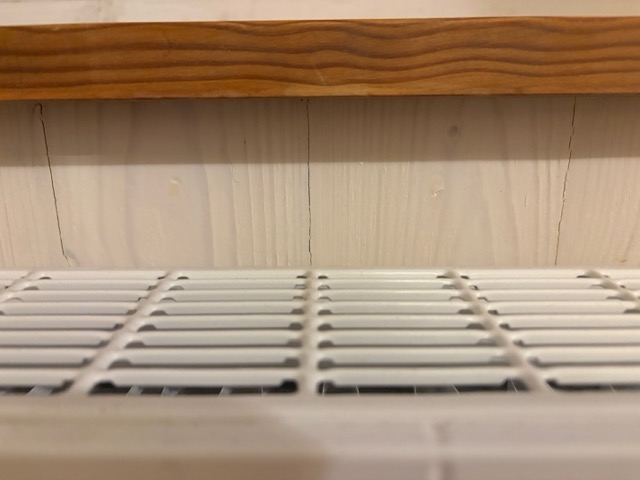 IMG_0198 Medium.jpeg