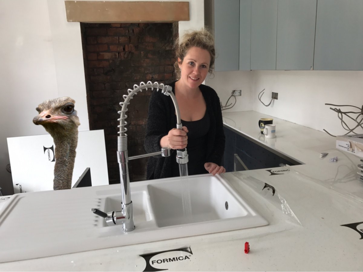 Do Ostriches make good pets? | DIYnot Forums