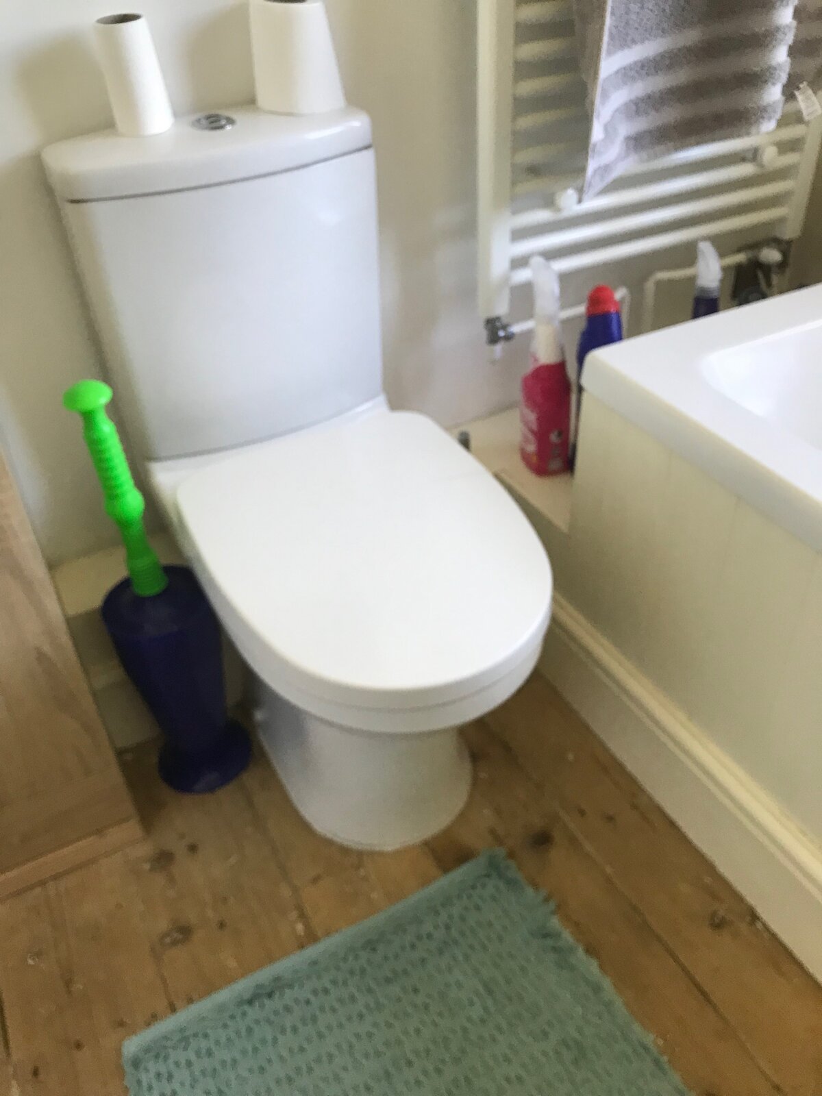 How to change this toilet seat DIYnot Forums
