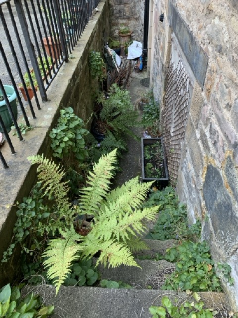 IMG_1007 Medium.jpeg