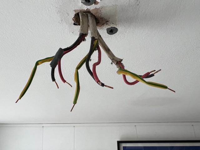 IMG_1010 Medium.jpeg