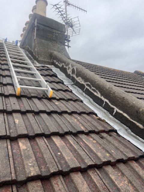 IMG_1588 Medium.jpeg