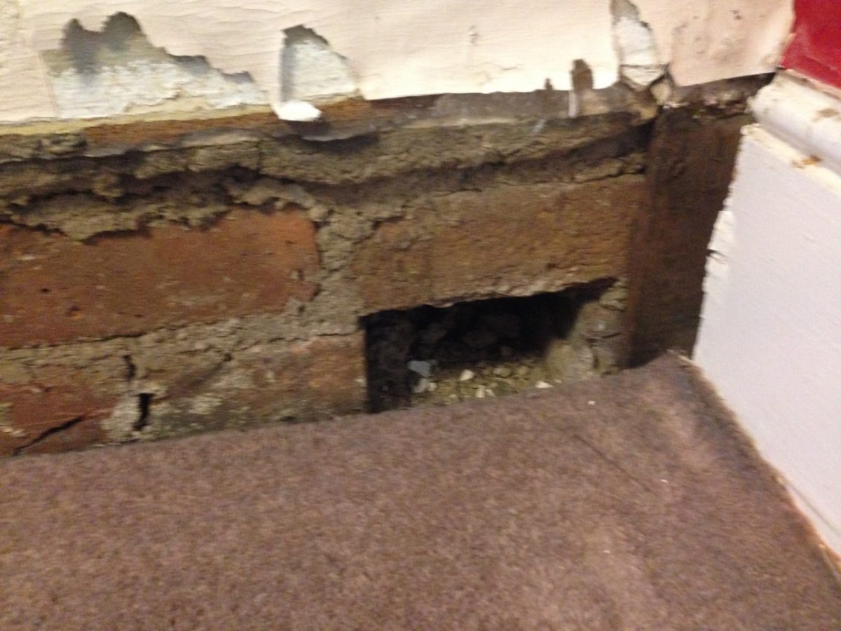 IMG_2015-10-09 10:41:36.jpg