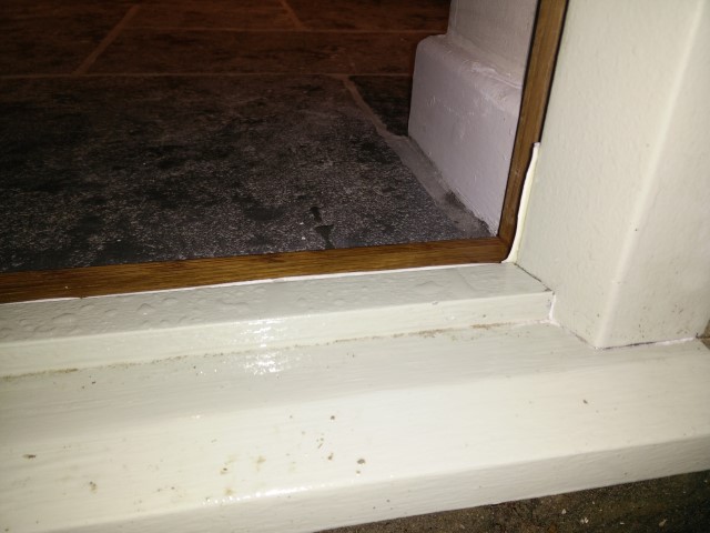 IMG_20151128_180551 (Small).jpg