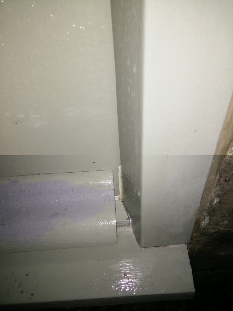 IMG_20151128_180614 (Small).jpg