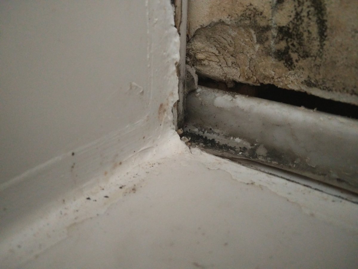 Advice Water entering drywall behind tiles (Shower) DIYnot Forums