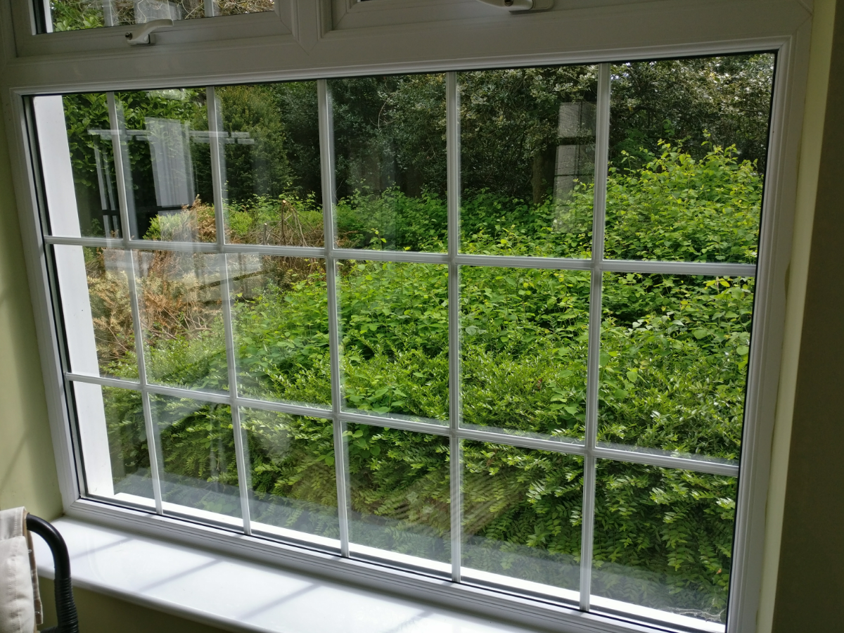 Clearing overgrown Box and similar | DIYnot Forums