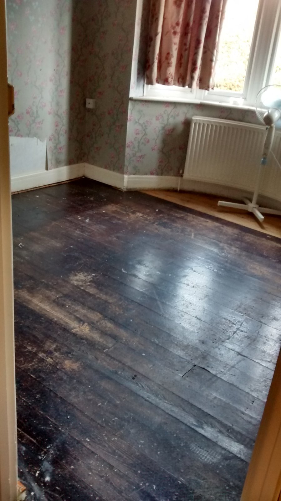 img_20171101_082147415_hdr-jpg.129630