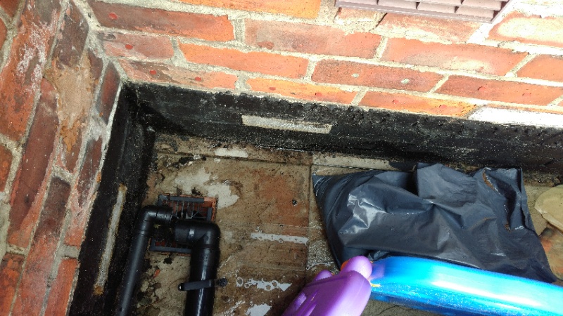 img_20180813_134604_resized_by_avg_image_shrinker-jpg.146603