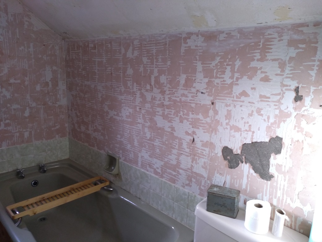 Does this wall need to be replastered? DIYnot Forums