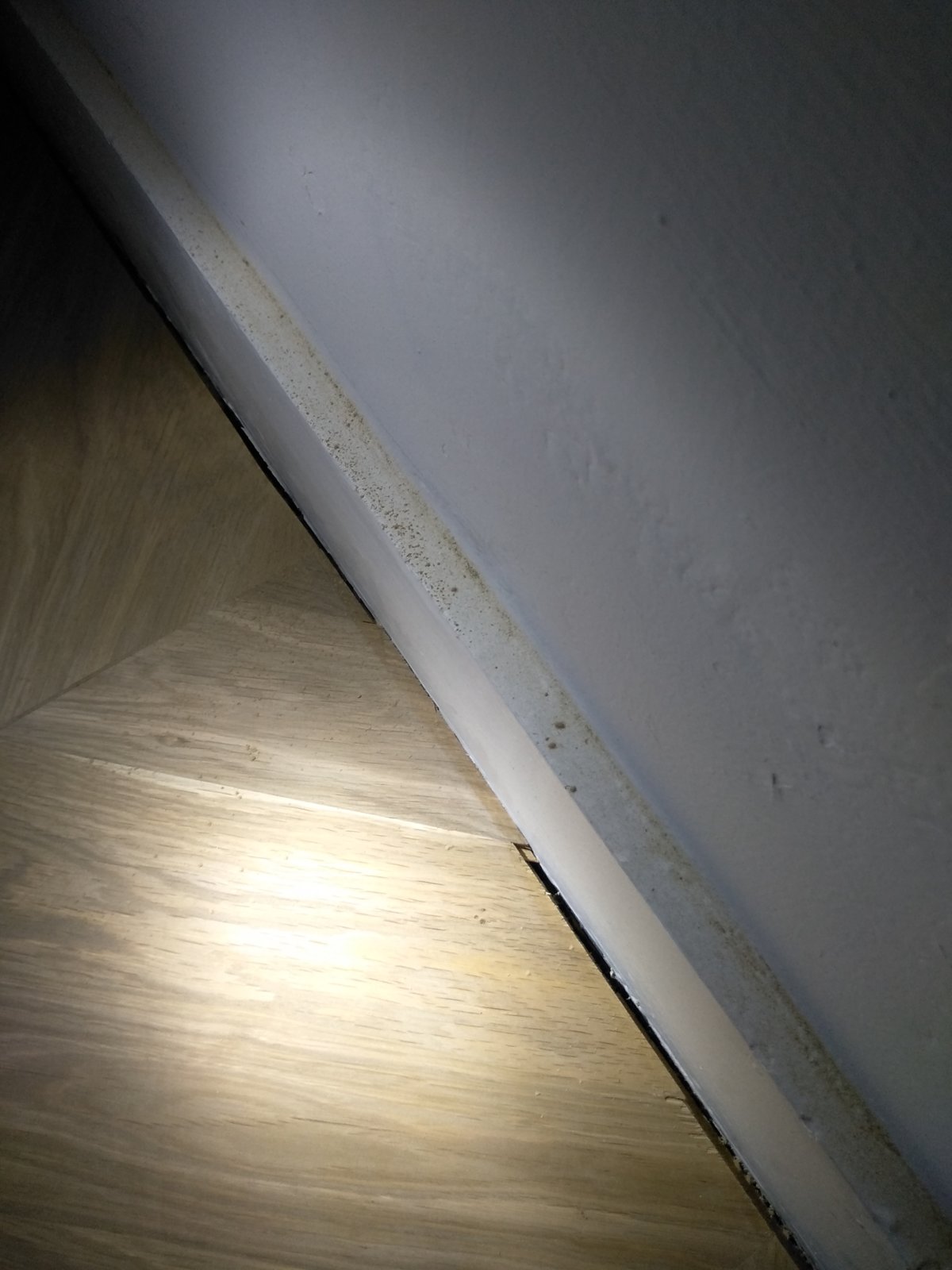 IMG_20191114_203533 (002).jpg