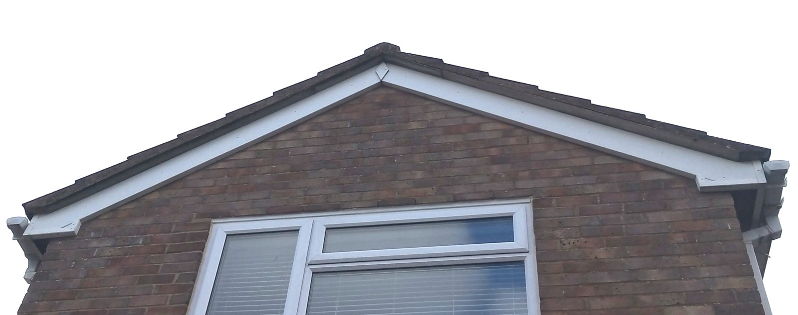 IMG_20200328_085343444 - Edited (1).jpg