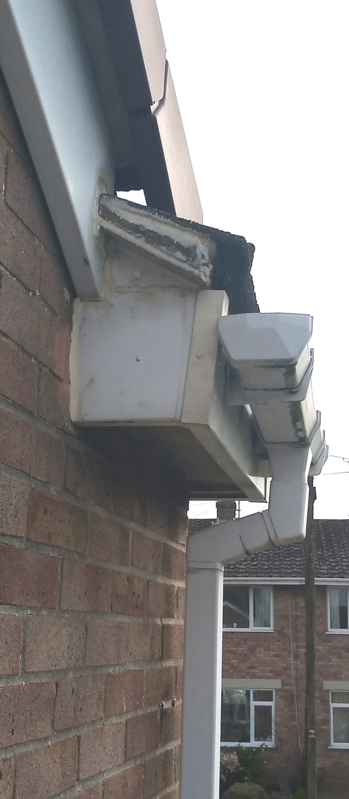 IMG_20200328_085501456 - Edited (1).jpg