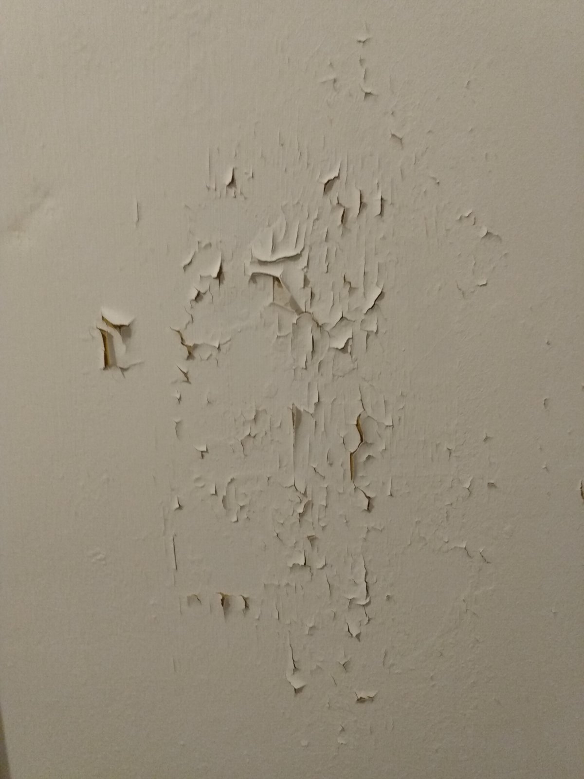 Paint flaking off old walls DIYnot Forums
