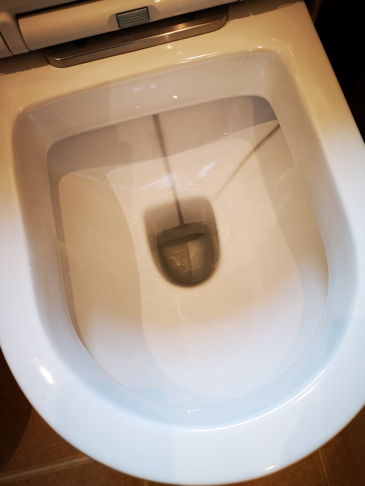 Vertical Black Lines Appeared In Toilet