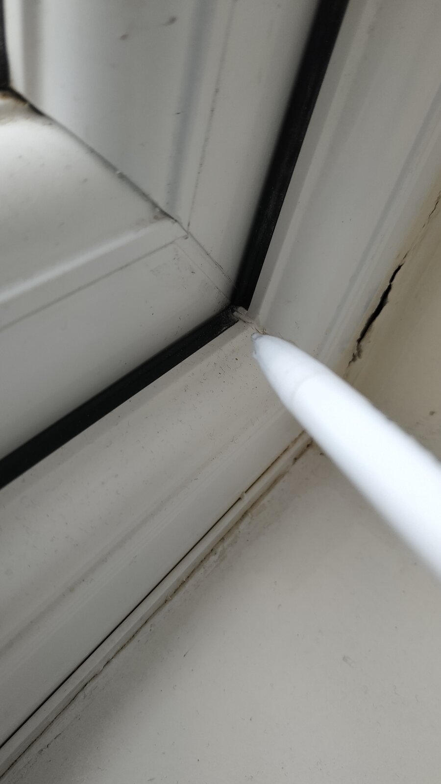 IMG_20200913_120403jpg