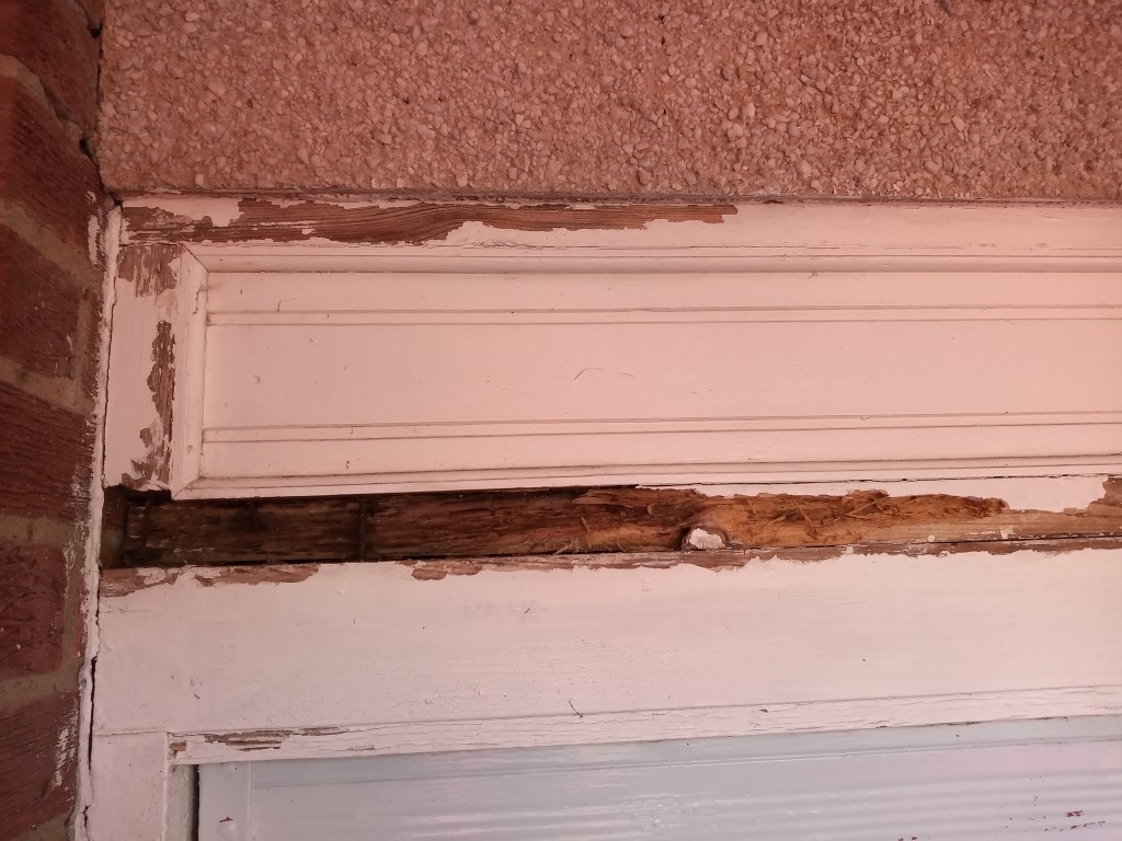 IMG_20210717_104148240 (Medium).jpg