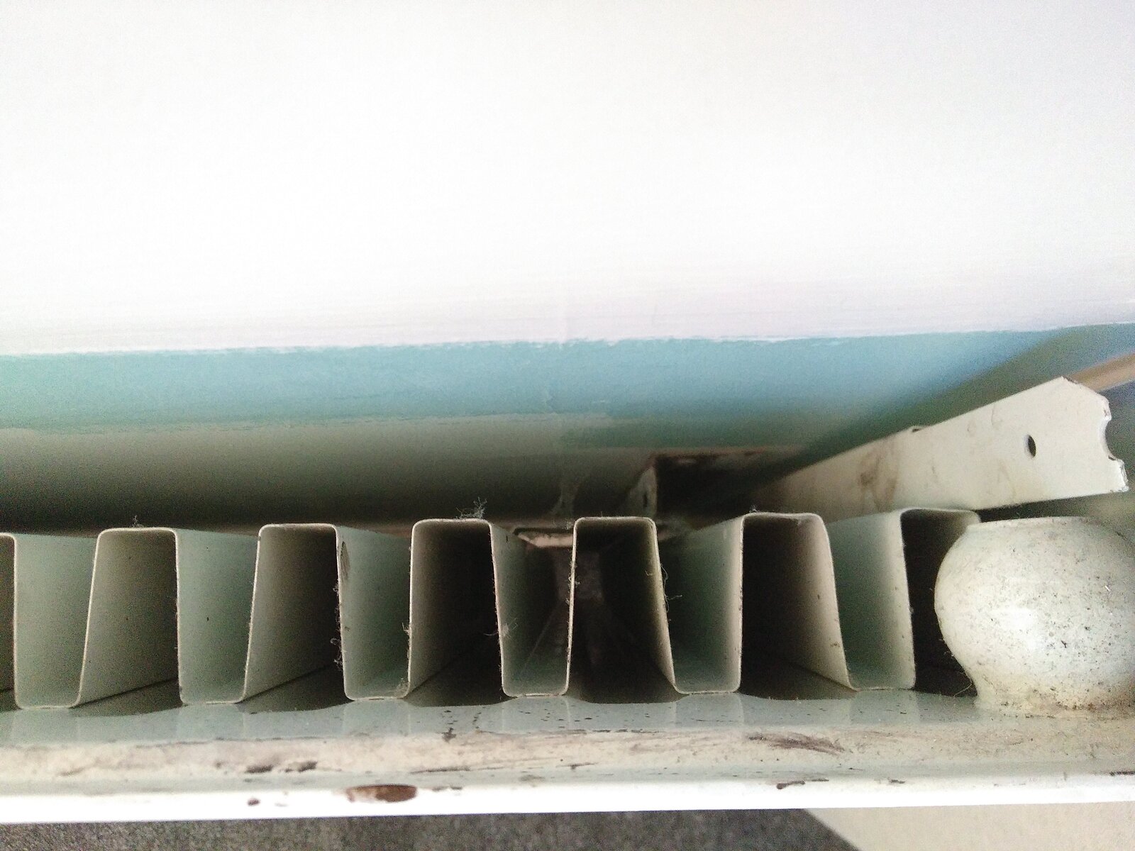 IMG_20220530_110902 .jpg