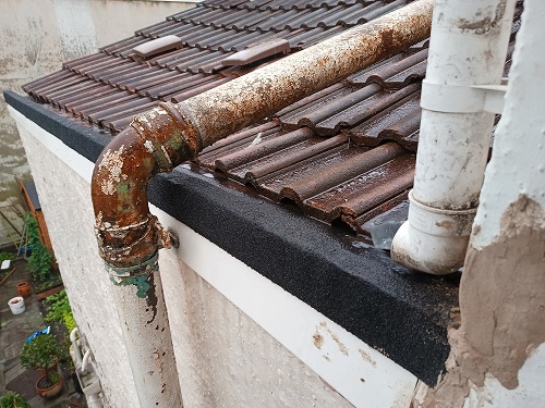 IMG_20220605_194922290 sm.jpg