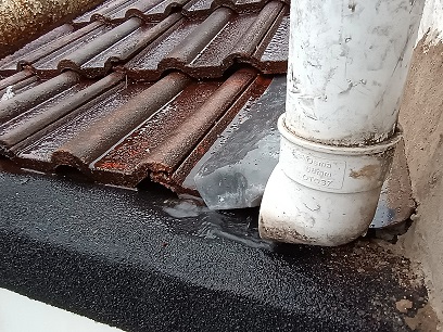 IMG_20220605_195021522 sm.jpg