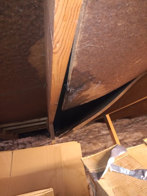 IMG_20220909_102306129 (Small).jpg