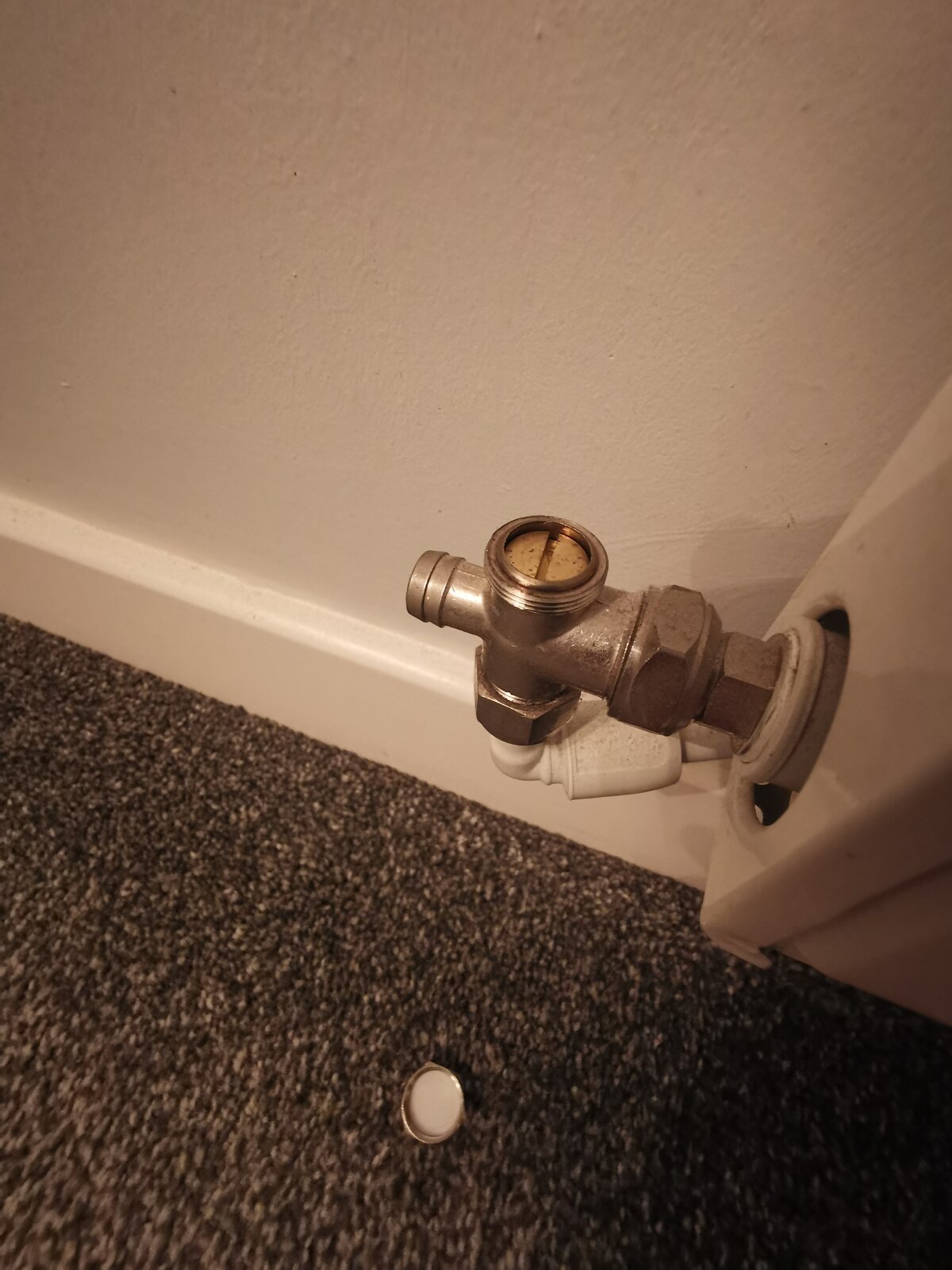 Problem with 1 radiator not heating DIYnot Forums