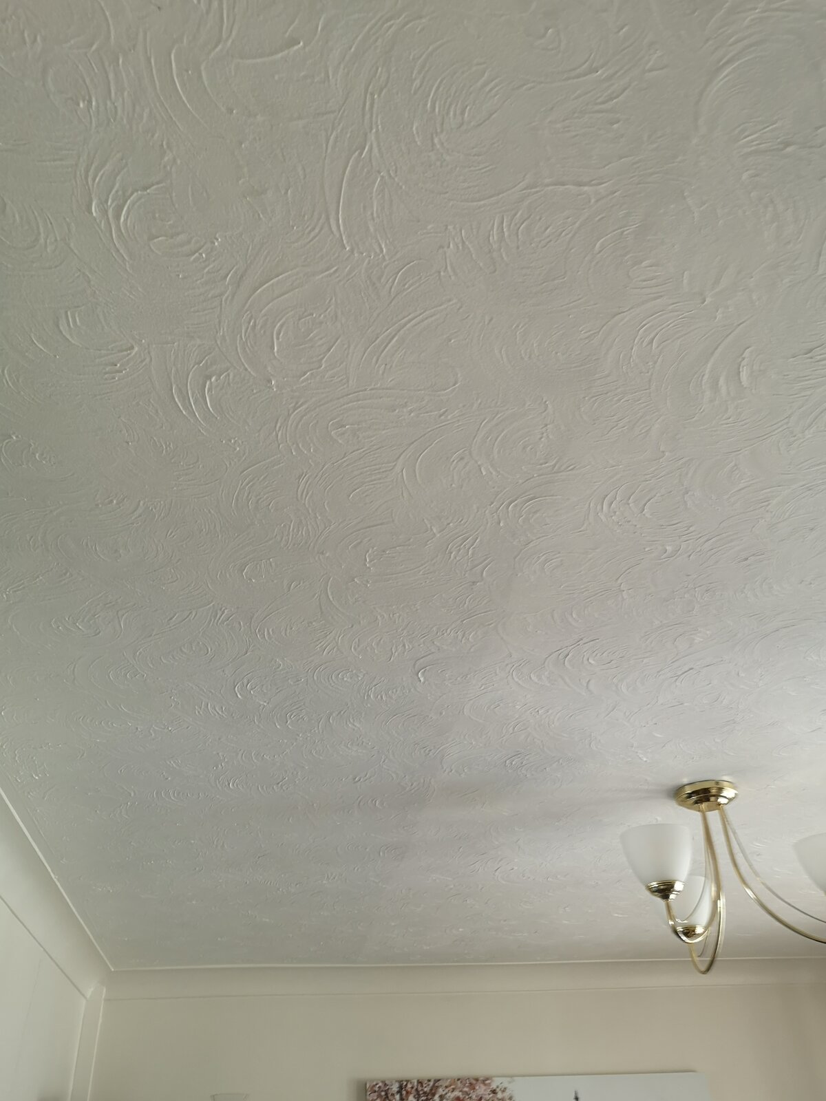 IMG_20230729_124106 (2).jpg