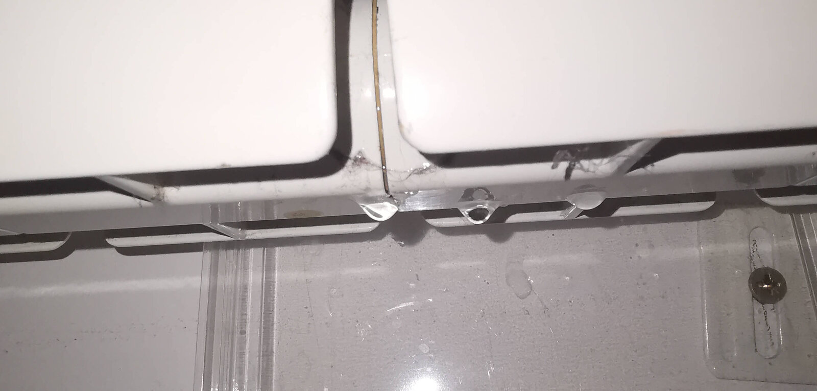 IMG_20231121_072737 Scaled.jpg