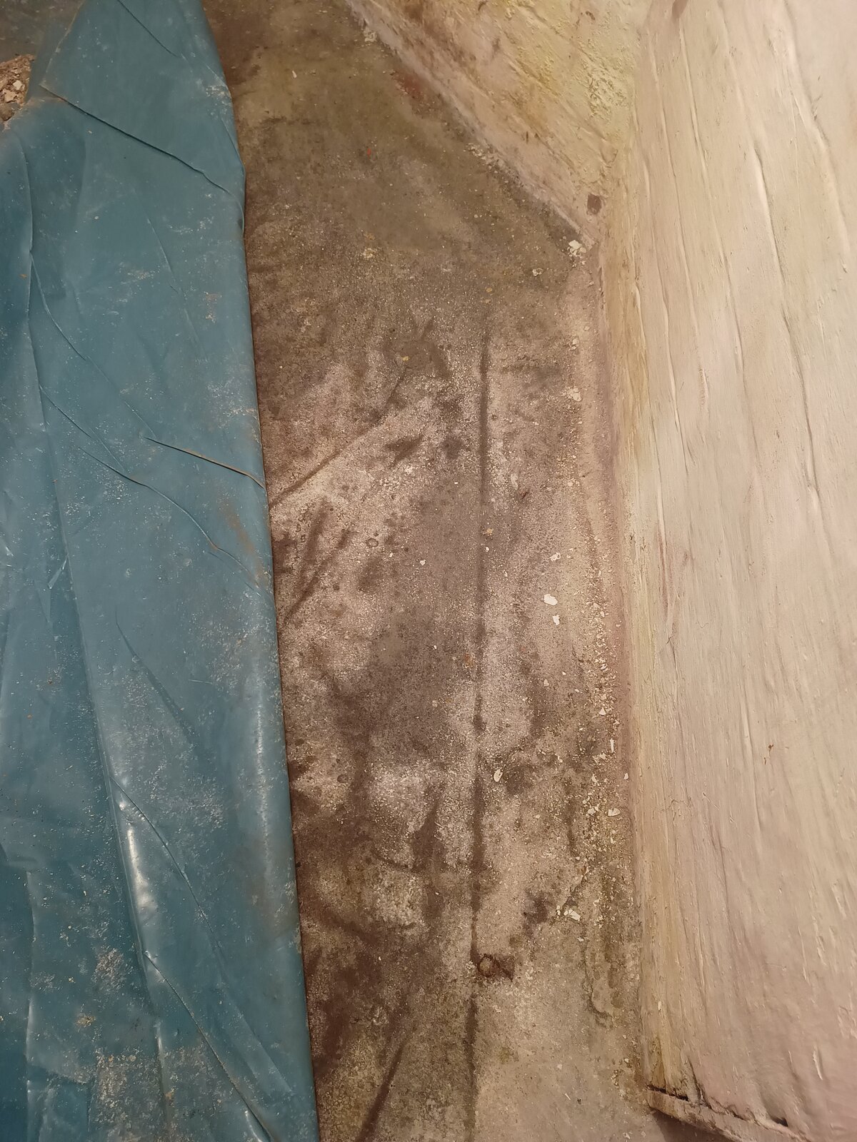 img_20231123_114529201-jpg.322225