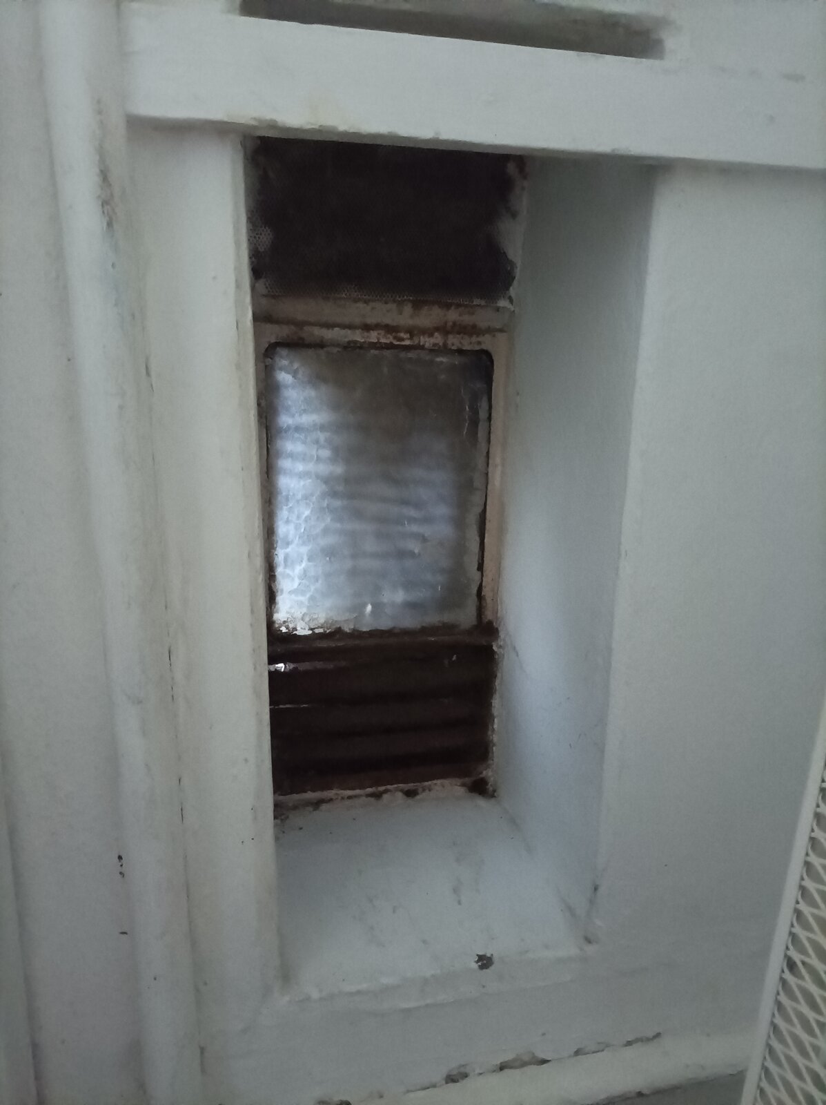 IMG_20240115_143514 (3).jpg