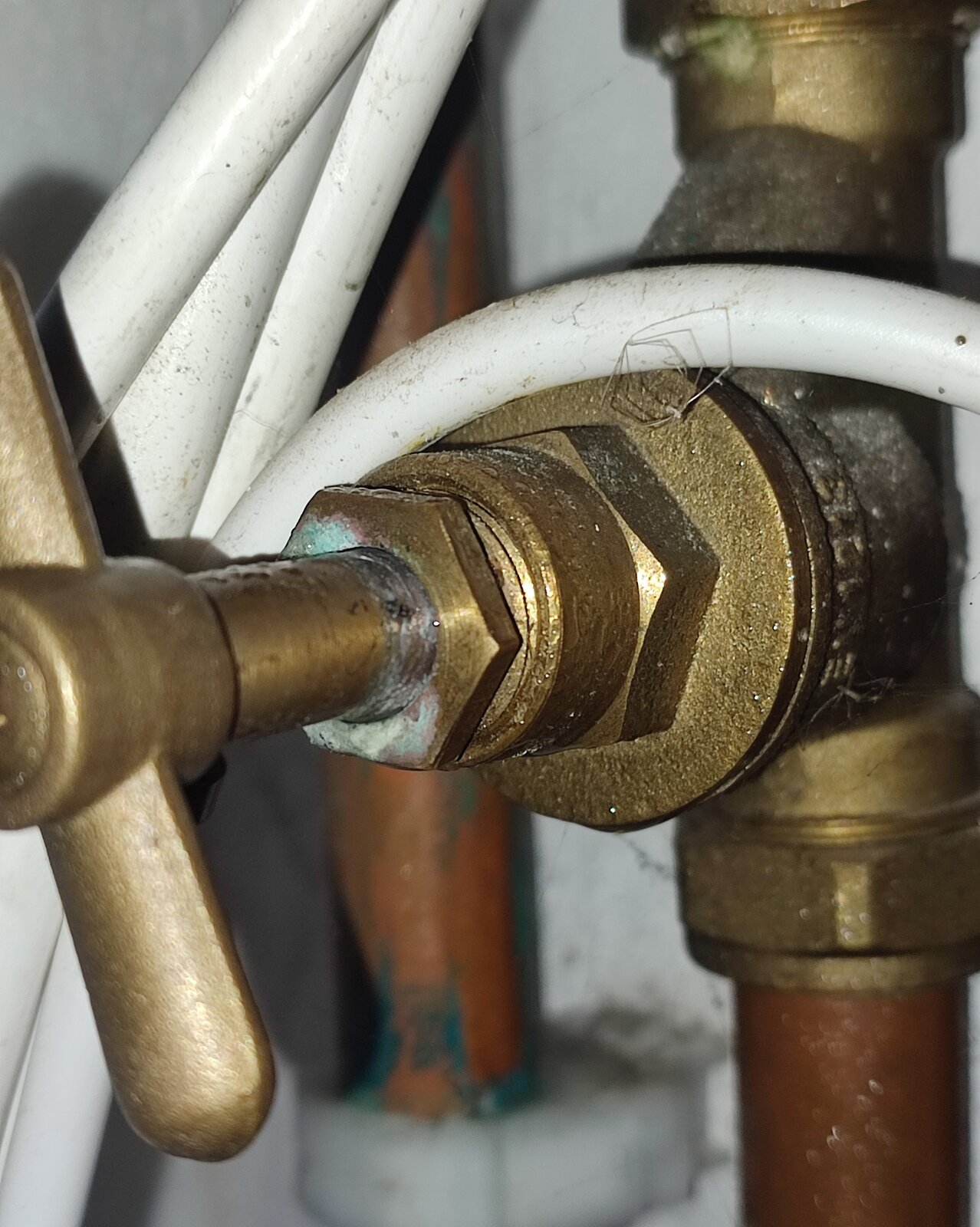 IMG_20240312_230159~2 (1).jpg