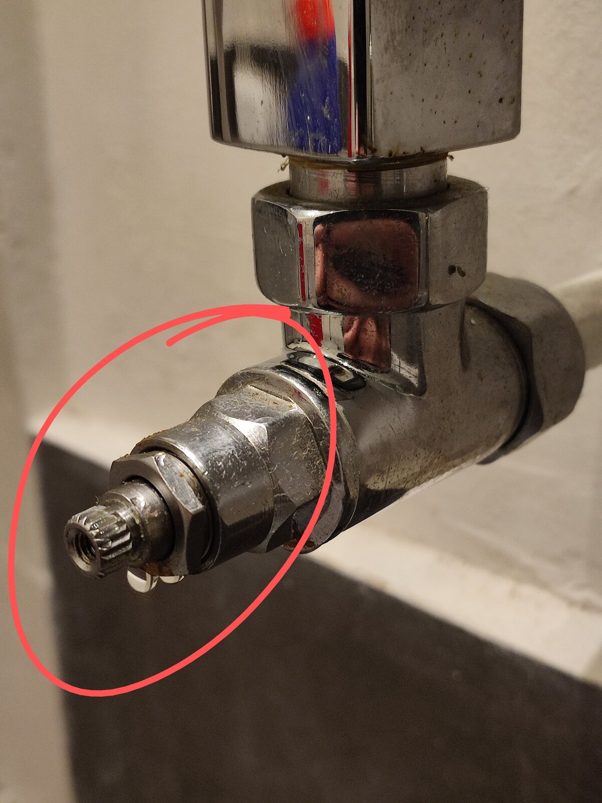 IMG_20240313_214929~3 (1).jpg