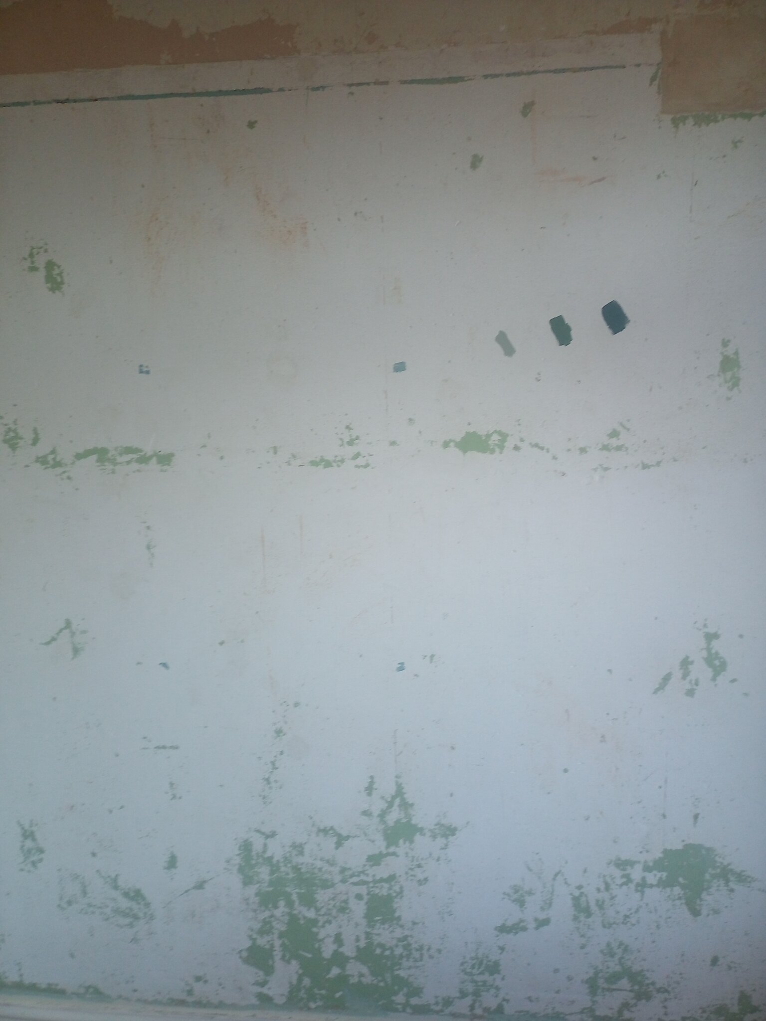 IMG_20260518_190918_065.jpg