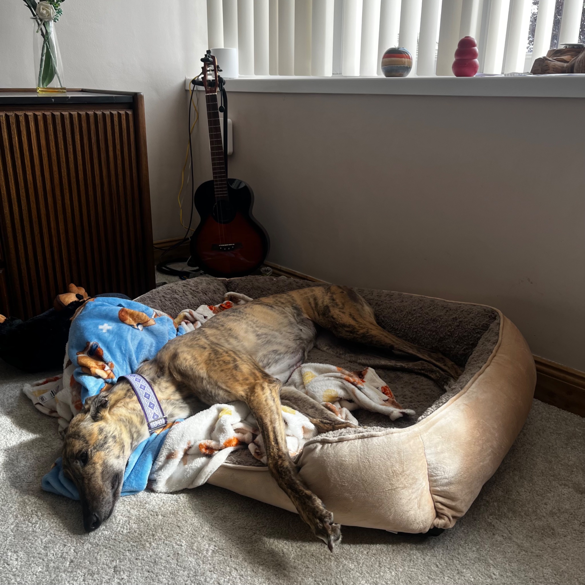 IMG_2161.jpeg