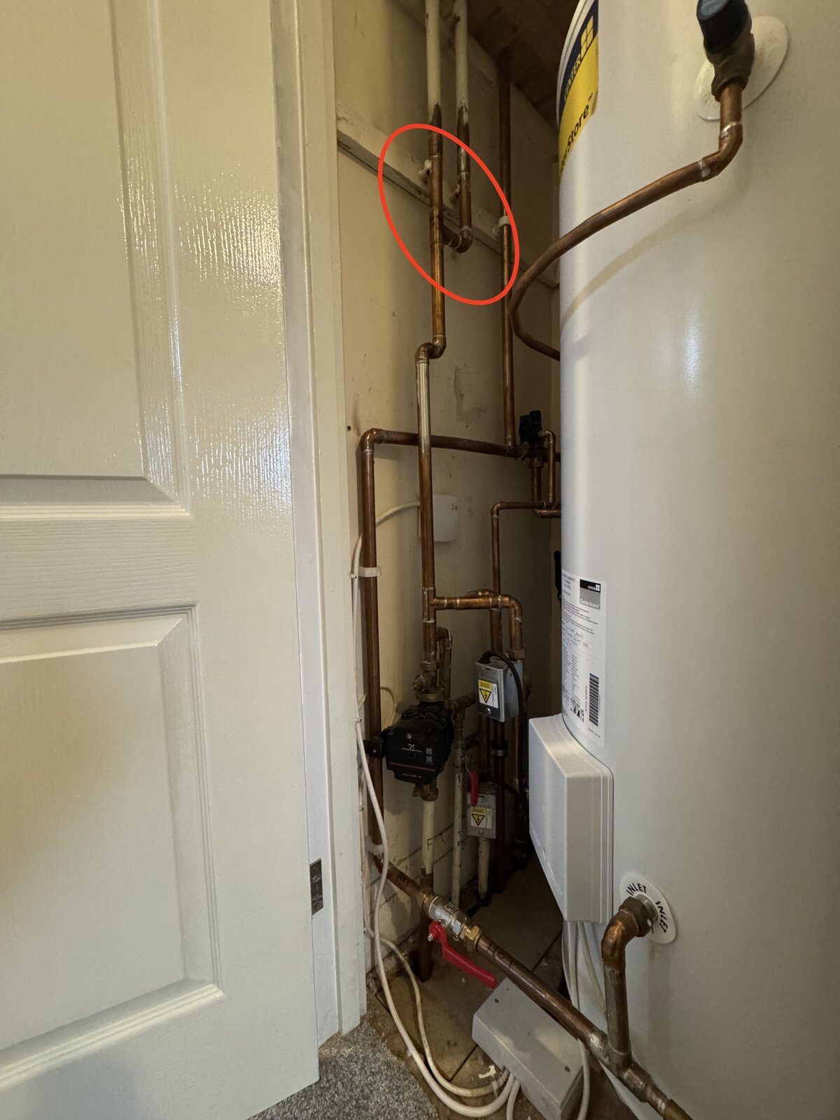 IMG_2303 copy 2.jpeg