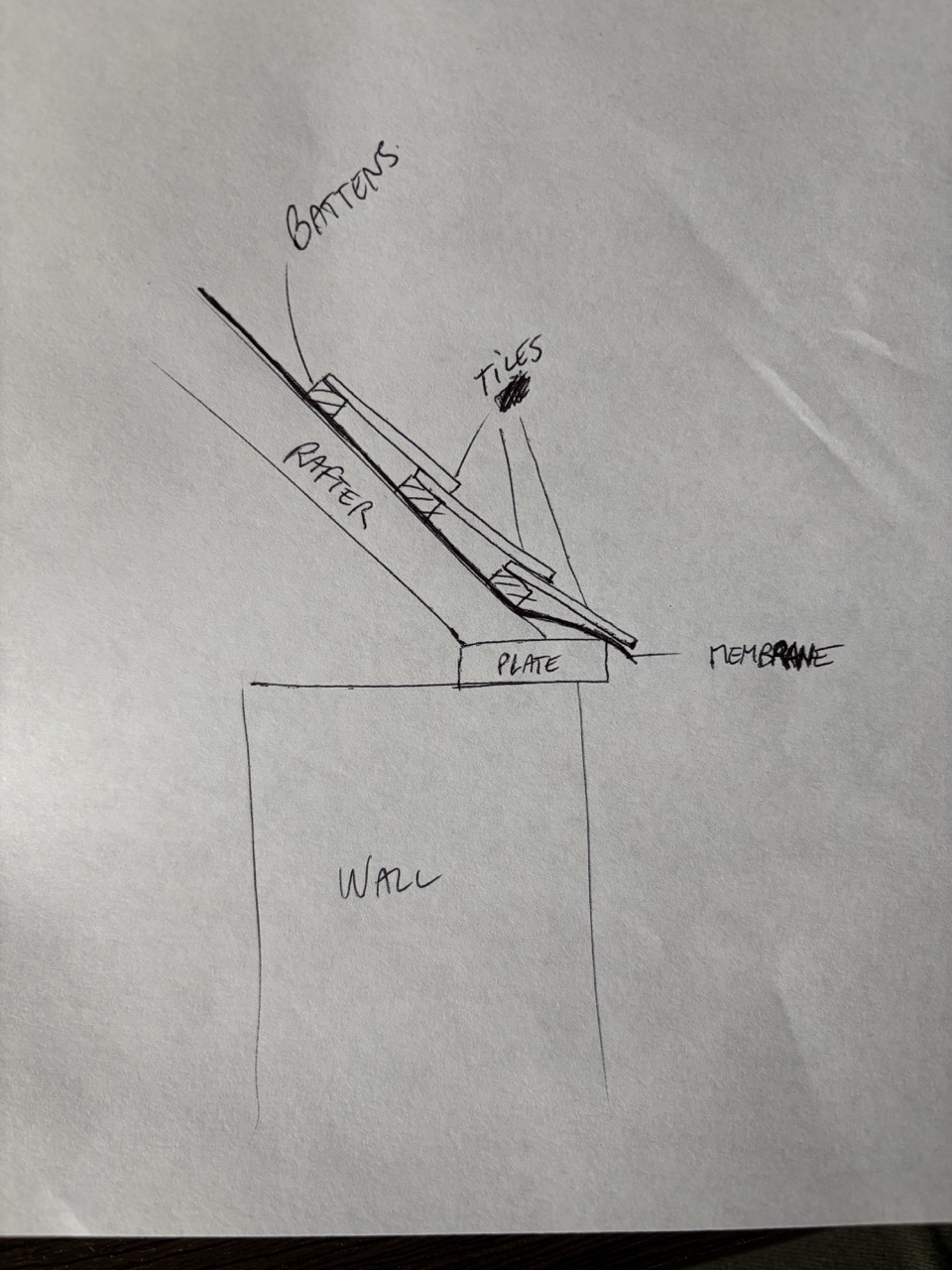 IMG_2592 2 Large.jpeg