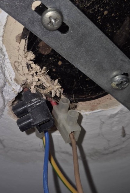 IMG_3131 Medium.jpeg