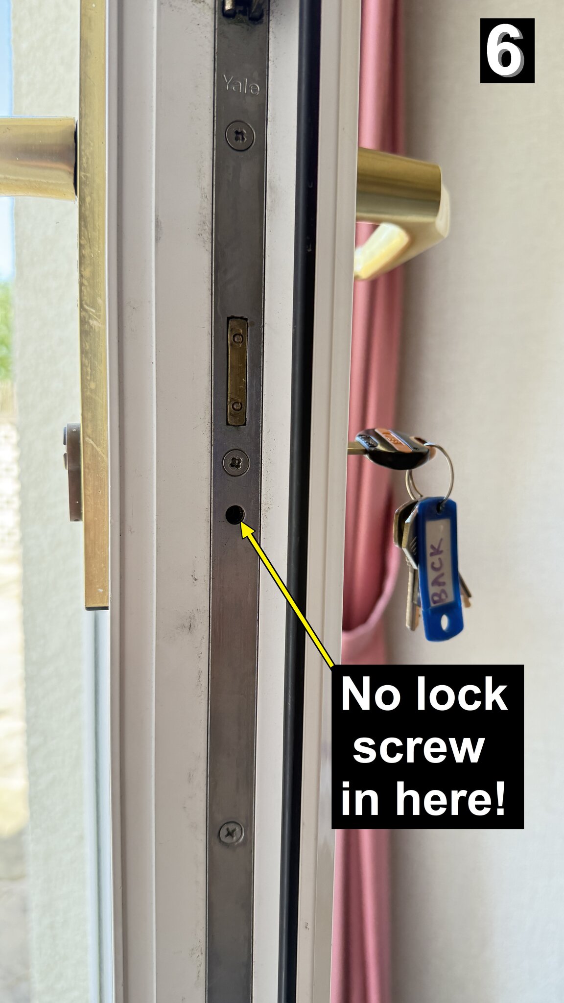 IMG_3385 (LABELLED).jpg