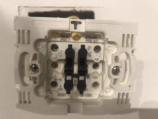 IMG_3510 Medium.jpeg