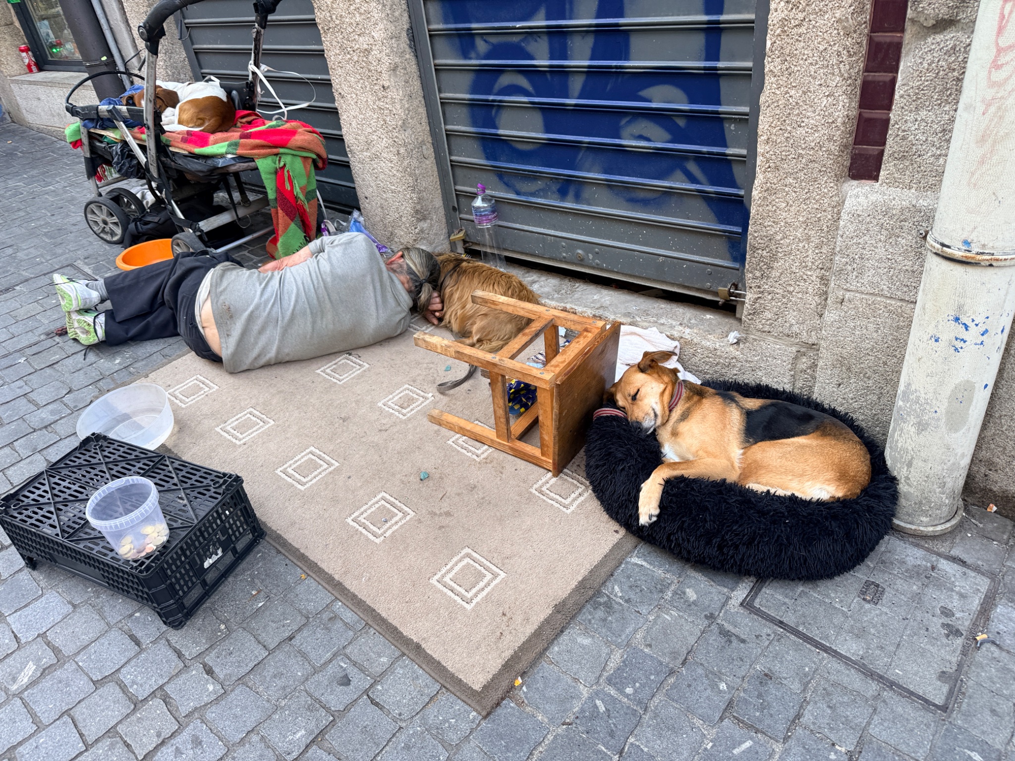 IMG_3923.jpeg