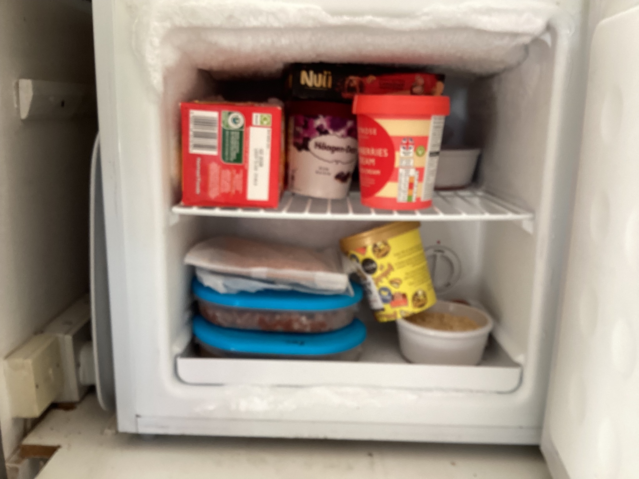 IMG_4071.jpeg