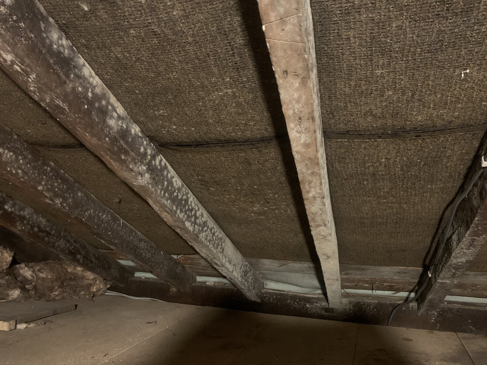 Mouldy Rafters / Poor Ventilation in Loft DIYnot Forums